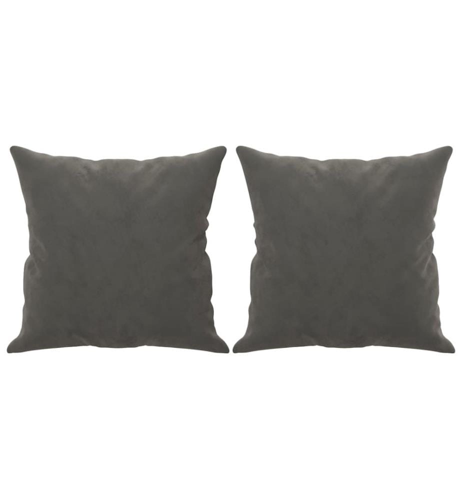 Coussins décoratifs 2 pcs Gris foncé 40x40 cm Velours