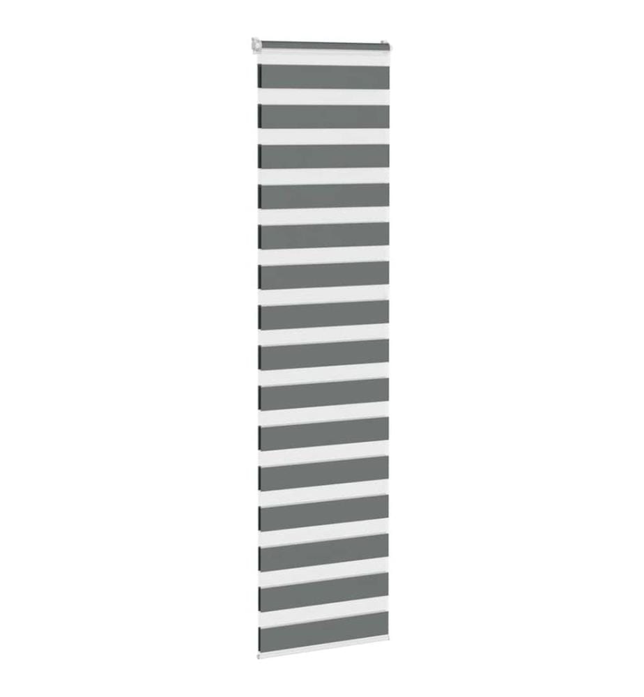 Doppelrollo Dunkelgrau 55x200 cm Stoffbreite 50,9 cm Polyester