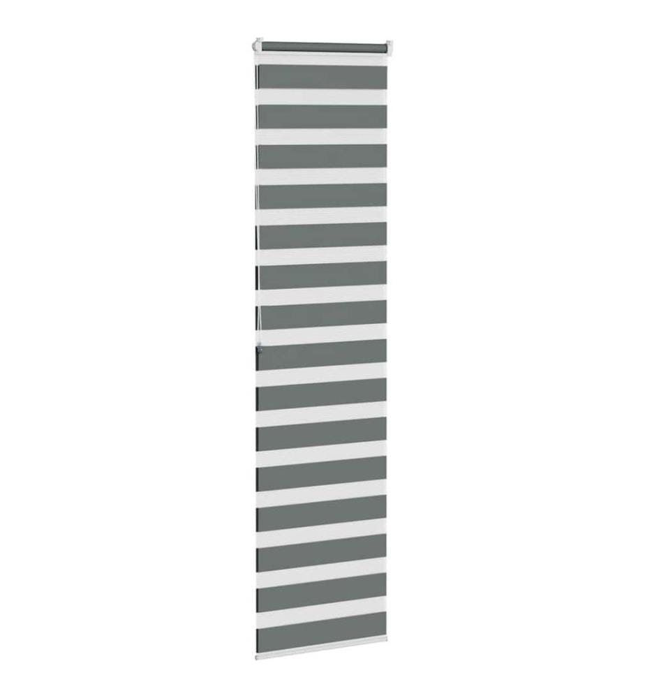 Doppelrollo Dunkelgrau 55x200 cm Stoffbreite 50,9 cm Polyester