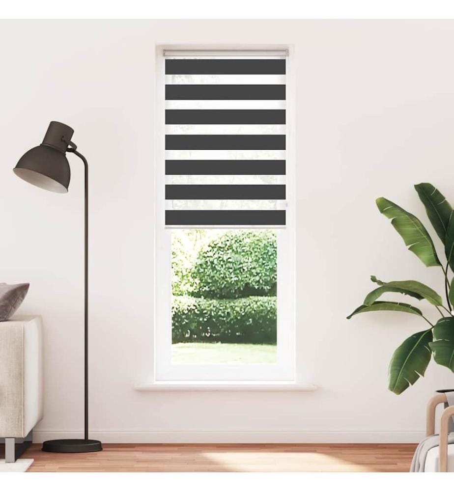Doppelrollo Schwarz 80x200 cm Stoffbreite 75,9 cm Polyester