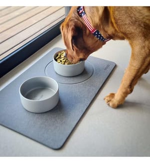 Animal Set (Mats + Bowls) - Slate