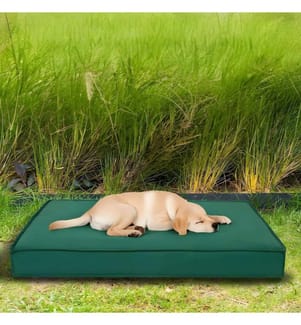 Hundebett Eva Garden XL – Grün