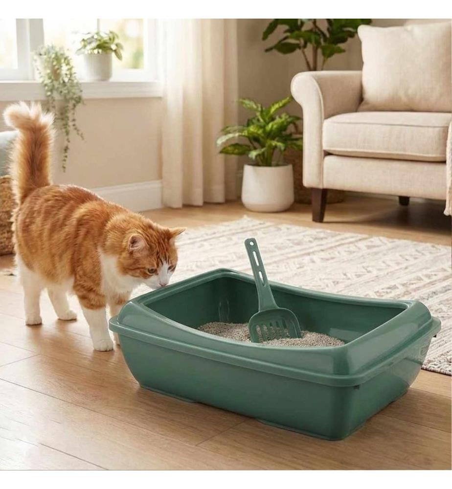 Bac à litière pour chat - Vert