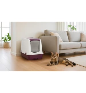 Katzenklo – Fuchsia