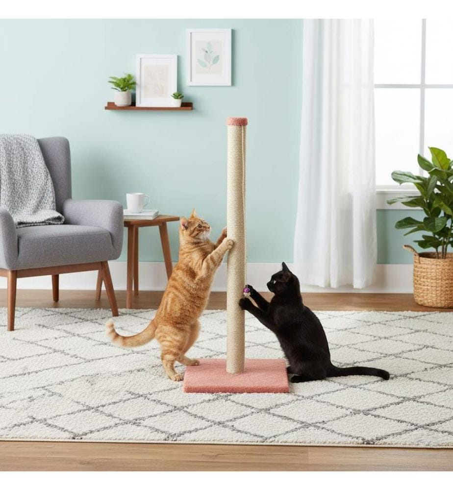 Kratzbaum für Katzen – Koralle