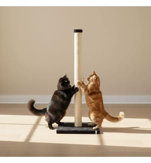 Kratzbaum für Katzen – Schwarz