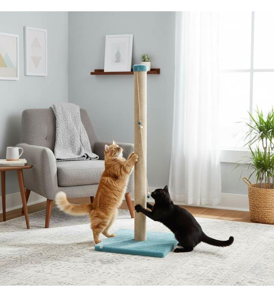 Kratzbaum für Katzen – Türkis
