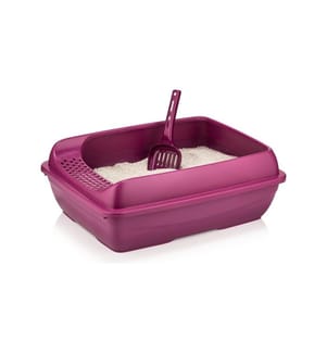 Katzenklo – Fuchsia