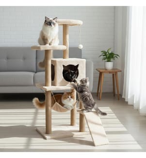 Katzenhaus – Beige