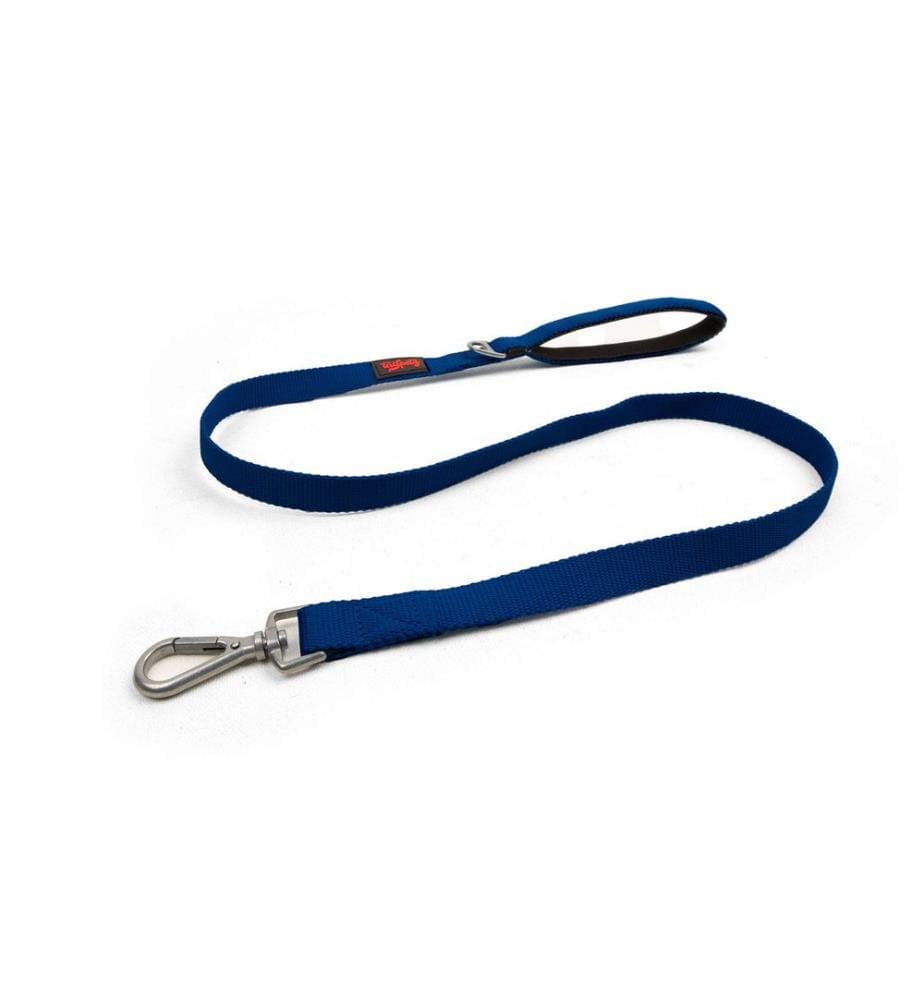 Dog Leash - Blue