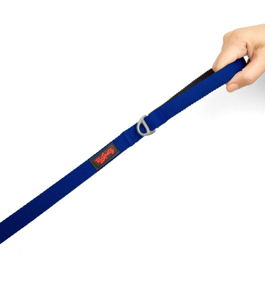 Dog Leash - Blue