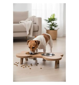 Gamelle pour animaux - Multicolore