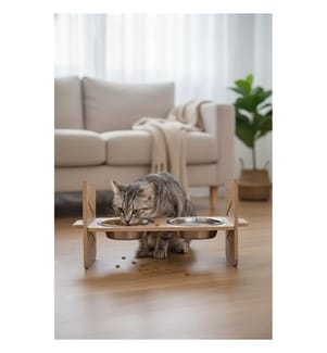 Gamelle pour animaux - Multicolore