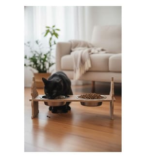 Gamelle pour animaux - Multicolore