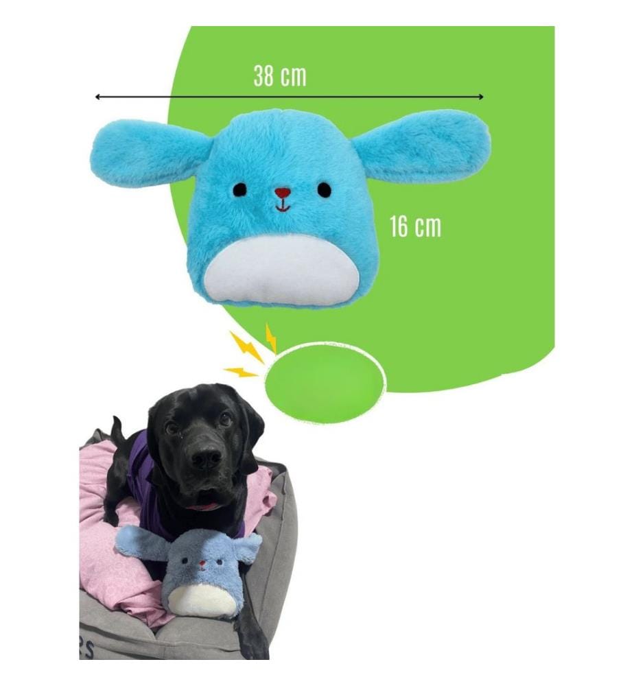 Hundespielzeug – Blau