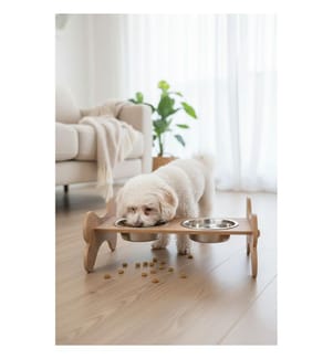 Gamelle pour animaux - Multicolore