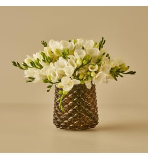 Vaso Irene 11.5x11.5x3 cm - Verde