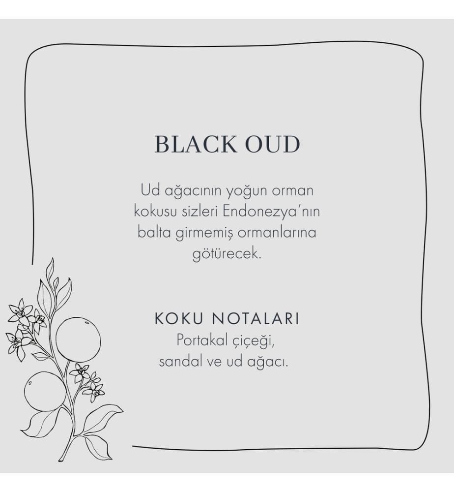 Deodorante per ambienti Oud 250 ml - Nero