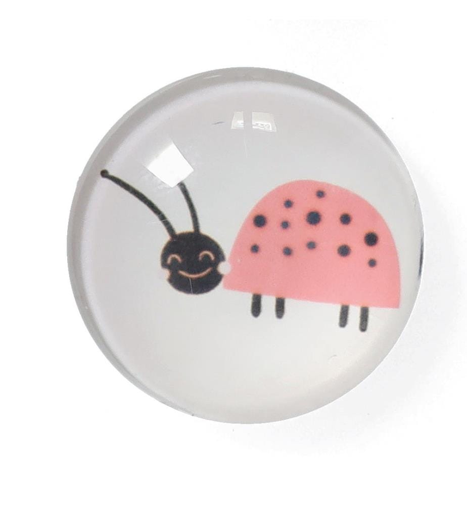 Magnet-Set Insekten - 4-Tlg. - Kunststoff/Glas