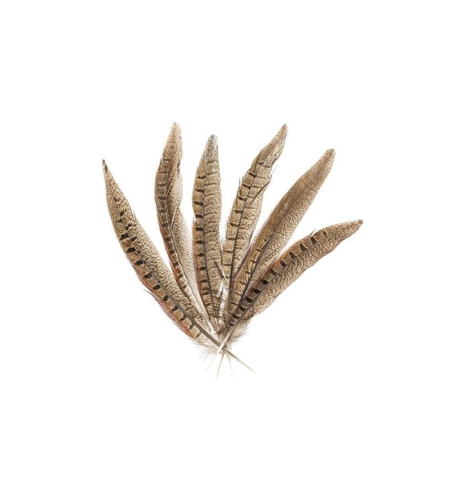 GLOREX - Federn Fasan 20-25 cm 12 Stück, Braun