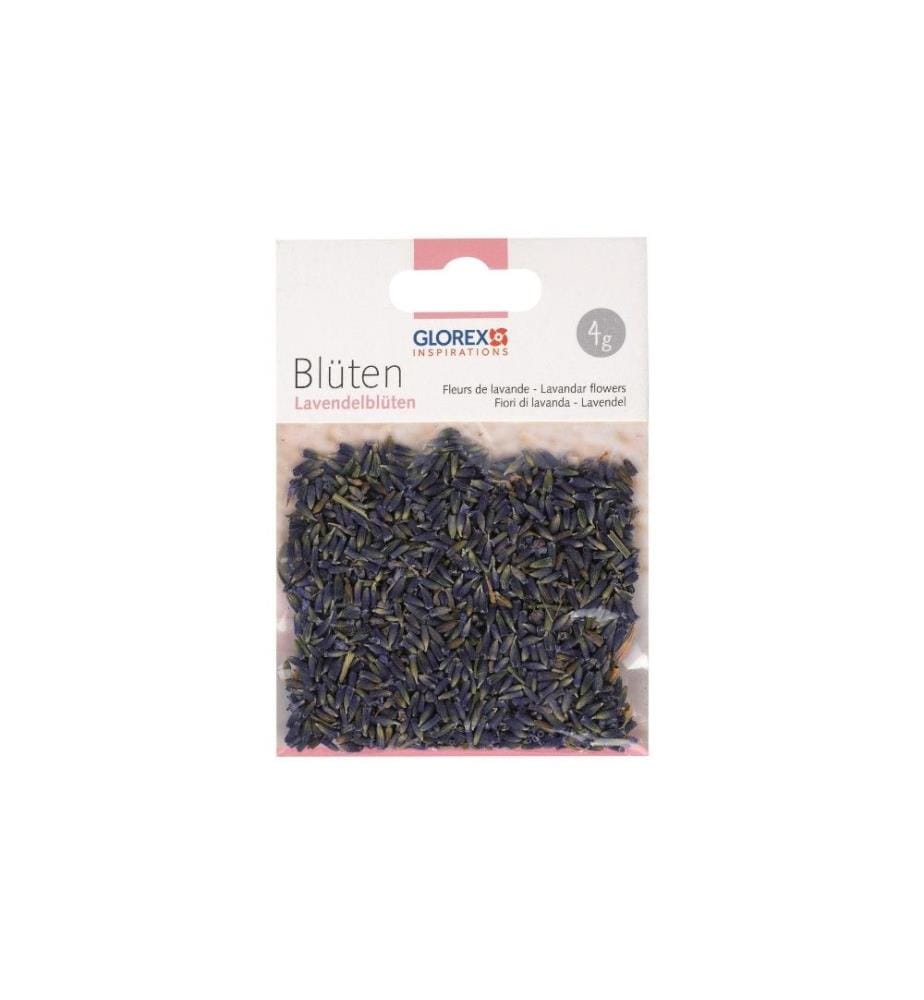 GLOREX - Blüten Lavendelblüten 4g
