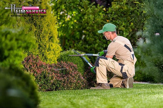 Professionelle Gartenpflege für dein grünes Paradies