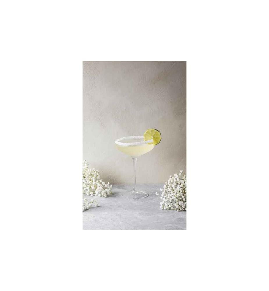 EVA SOLO - Verre à Champagne 200 ml, 1 Pièce/s, Transparent