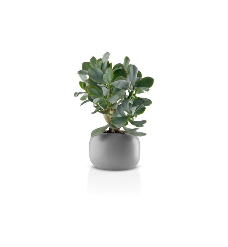 EVA SOLO - Blumentopf Stone Grau