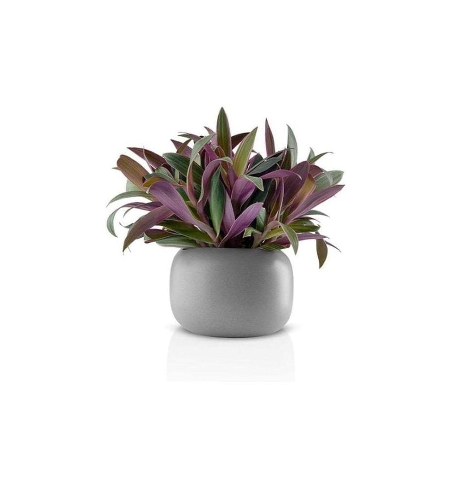 EVA SOLO - Blumentopf Stone Grau