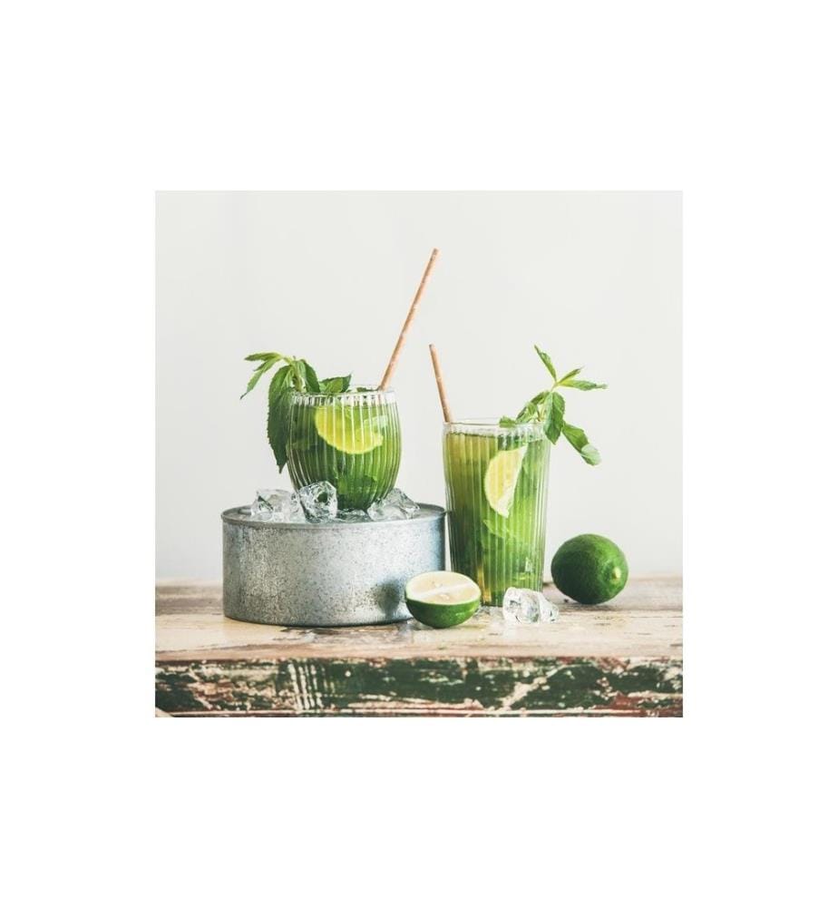 GASTROBACK - Pileur de glace
