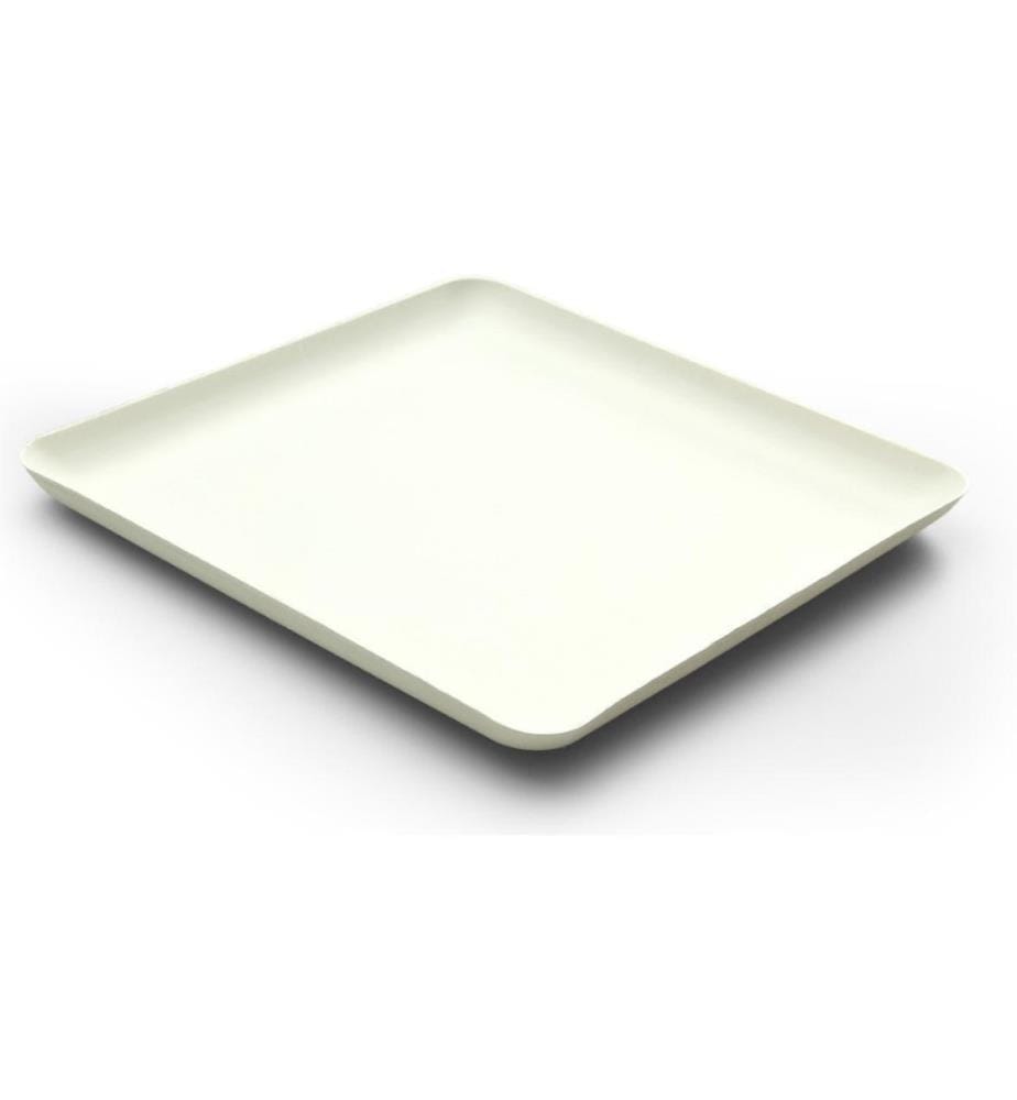 SIER - Einwegteller Bagastro 20 cm x 1.5 cm x 20 cm, 40 Stück