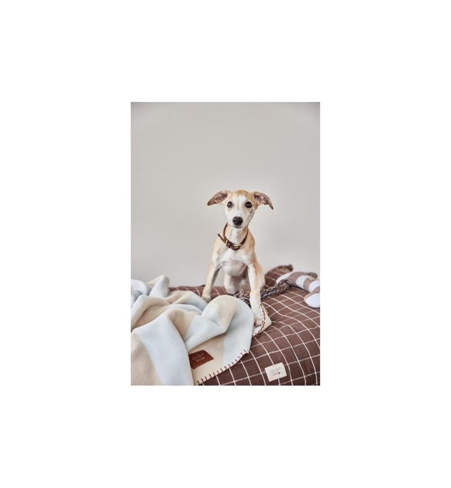 OYOY Couverture pour chien Kaya, L, Ice