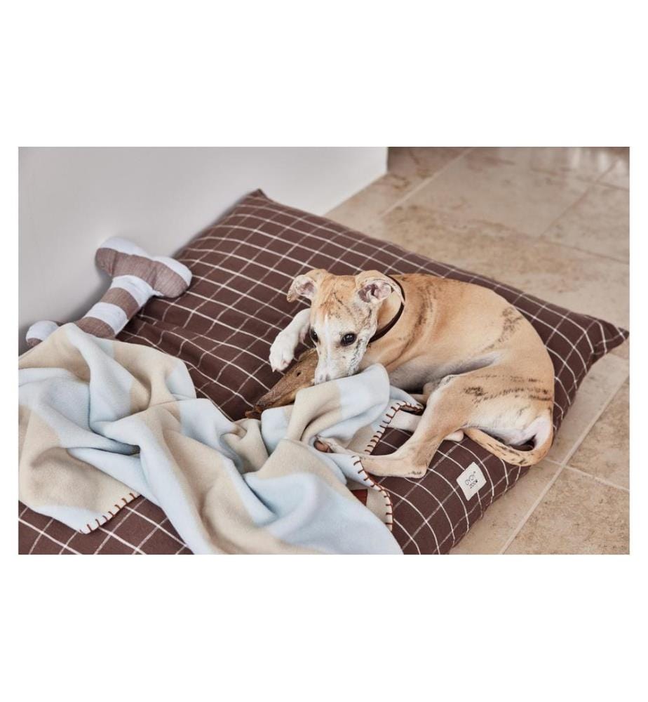 OYOY Couverture pour chien Kaya, L, Ice