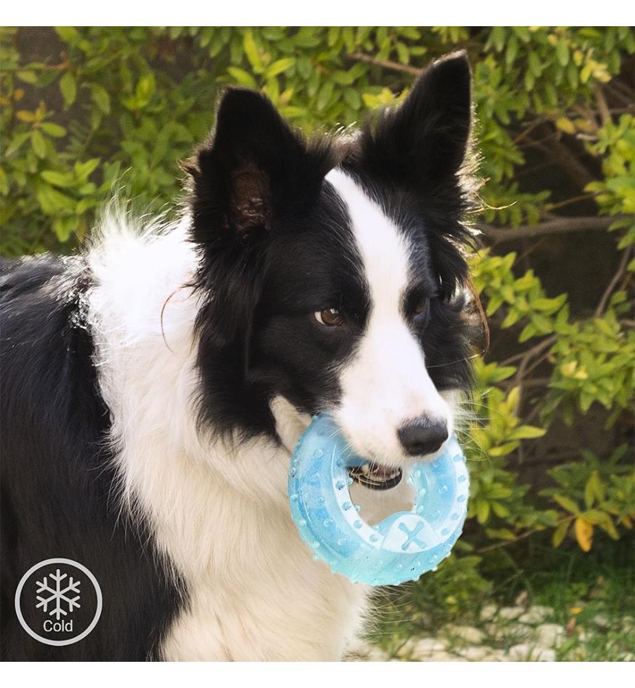 Glubiz 2-En-1 Jouet à Mâcher Congelable pour Animaux de Compagnie - Bleu