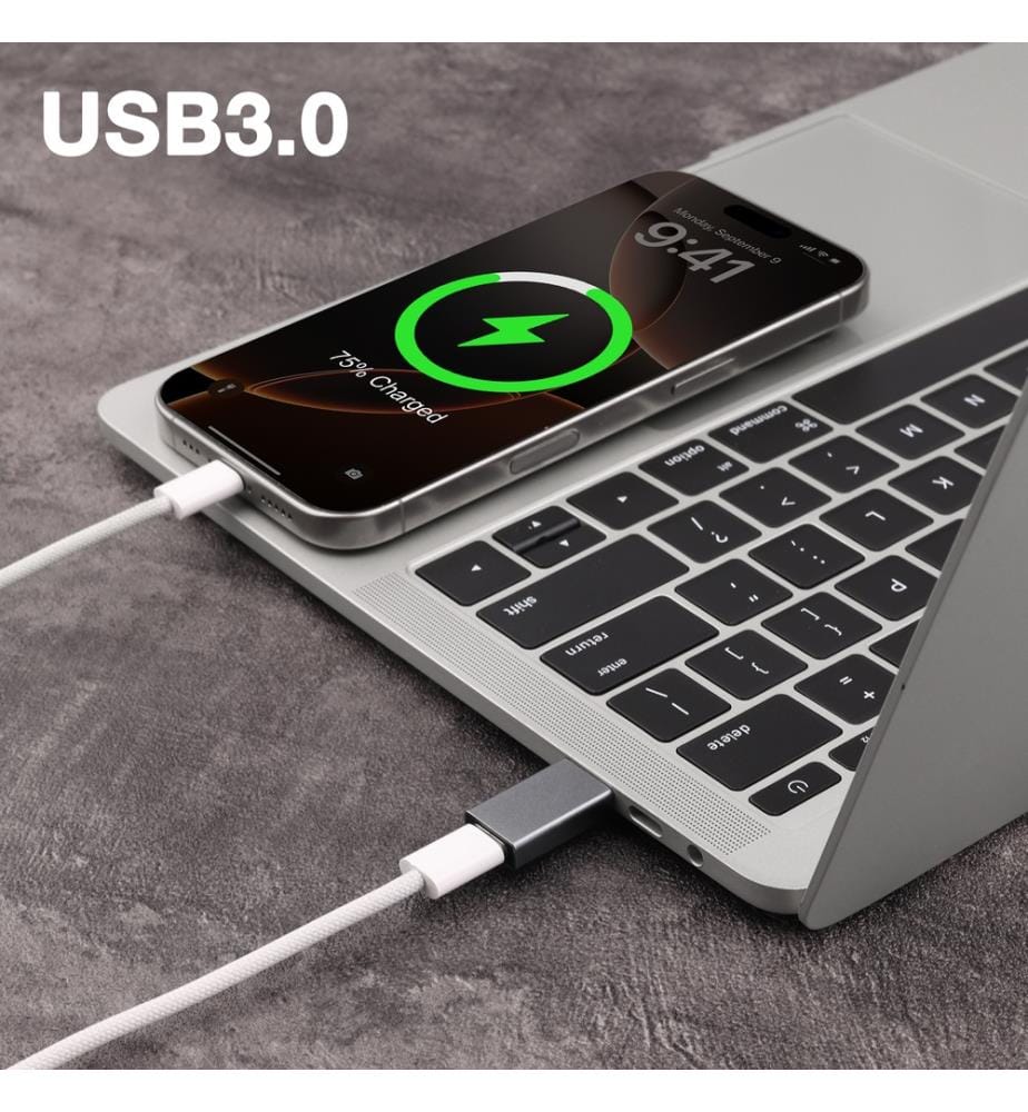 Adapter Usb-C auf Usb Platyne - Aluminium