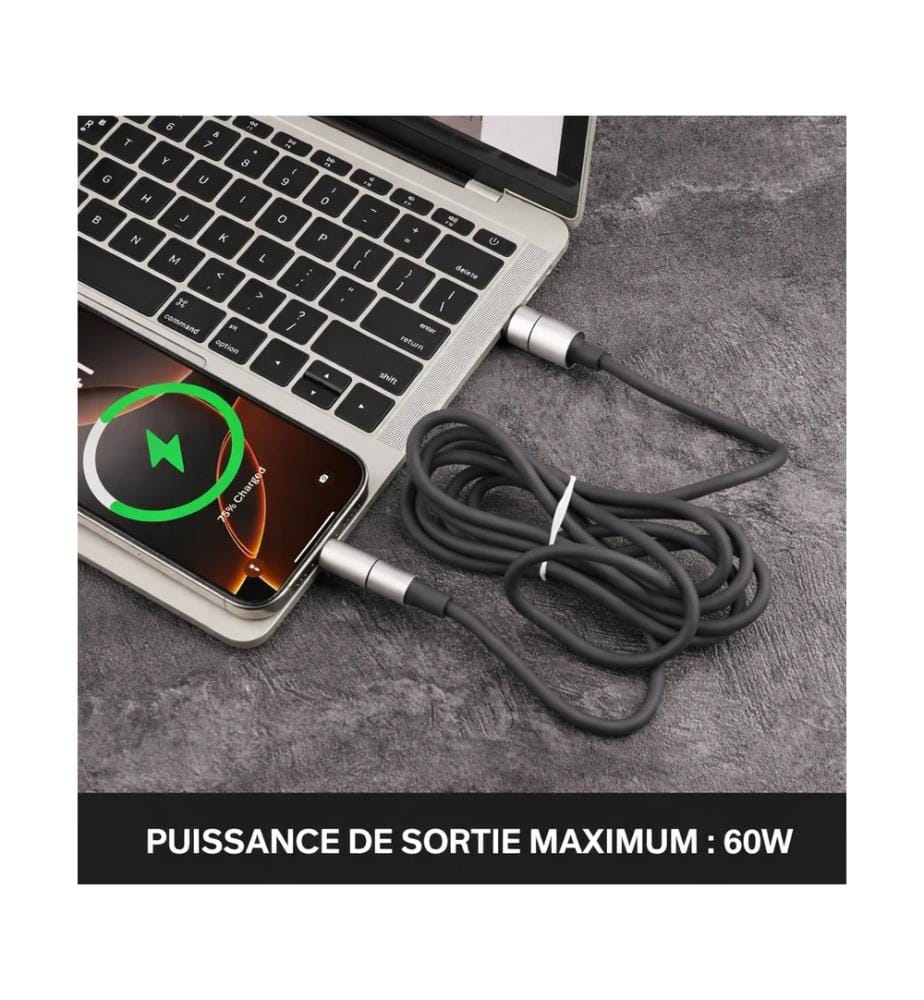 UBS-C/ Lightning charging cable - Black