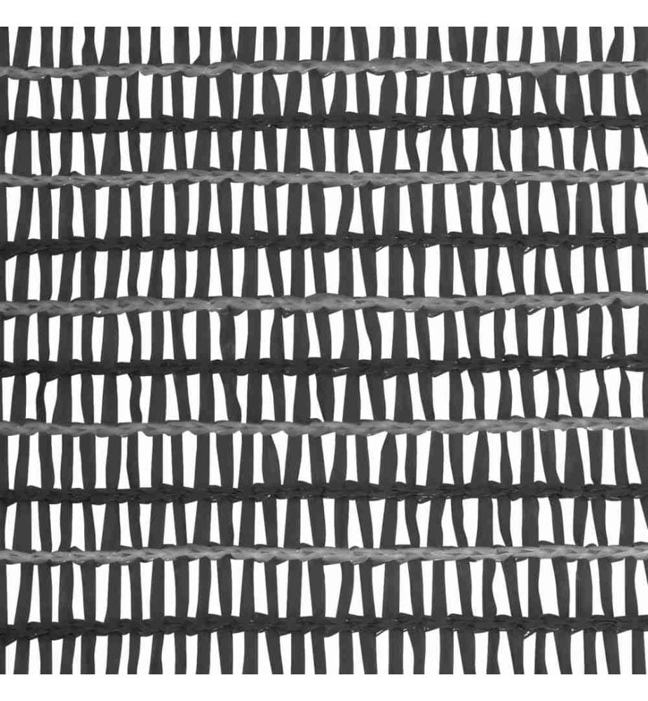 Filet brise-vue Anthracite 2x50 m PEHD 195 g/m²