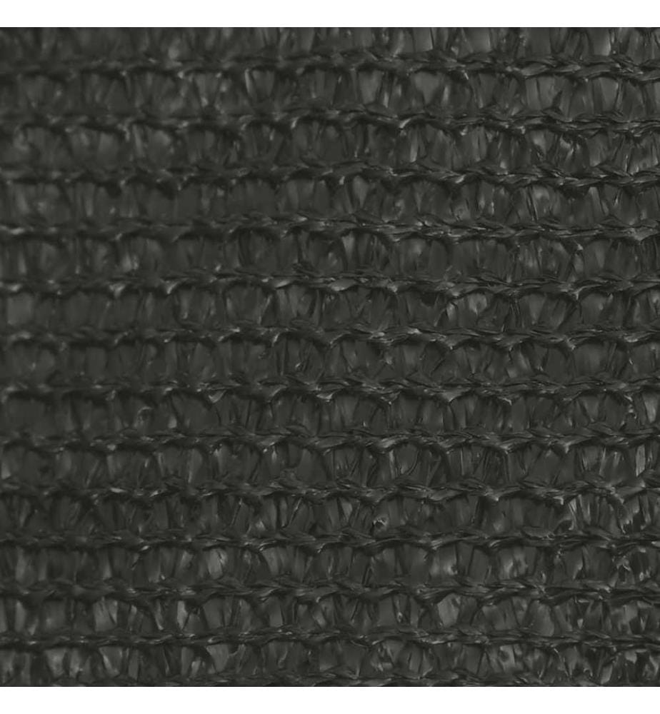 Voile d'ombrage 160 g/m² Anthracite 5x6 m PEHD