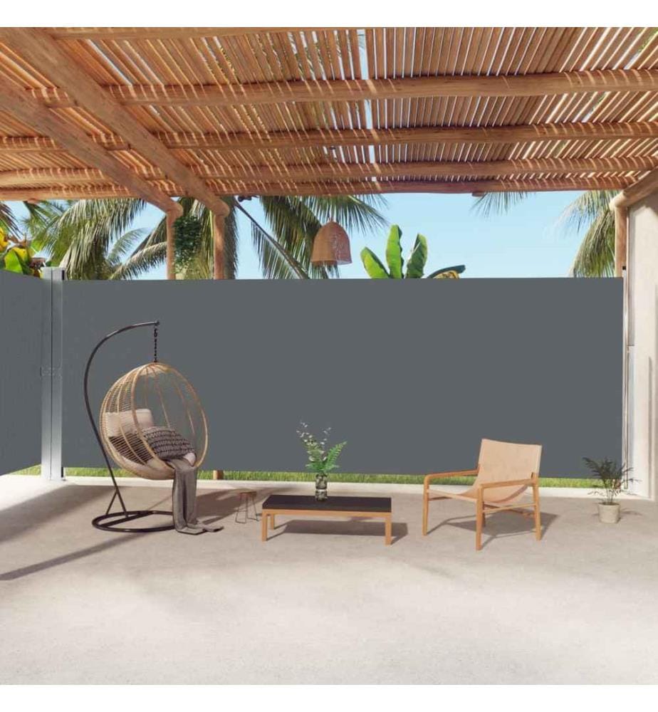 Auvent latéral rétractable Anthracite 220x1000 cm