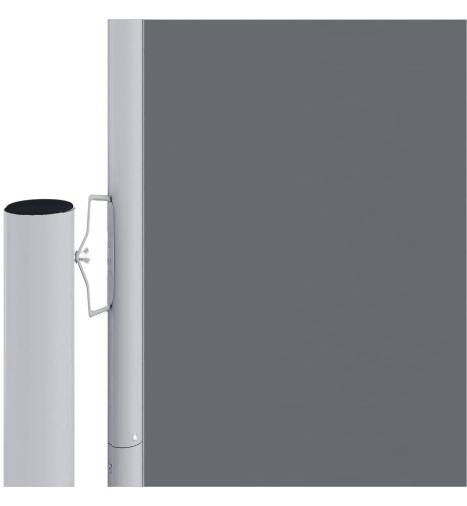 Auvent latéral rétractable Anthracite 220x1000 cm