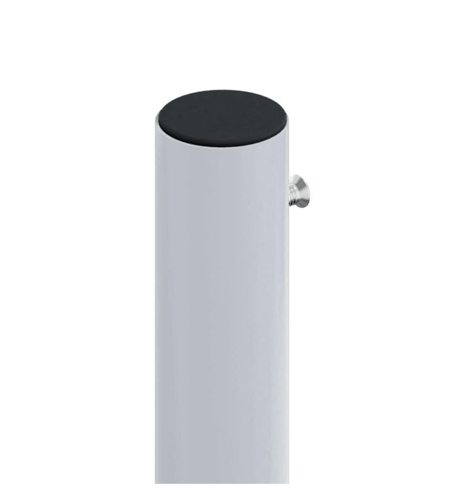 Auvent latéral rétractable Anthracite 220x1000 cm