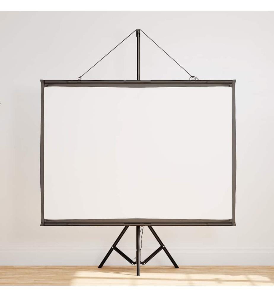 Écran de projection avec trépied 50 pouces 4:3