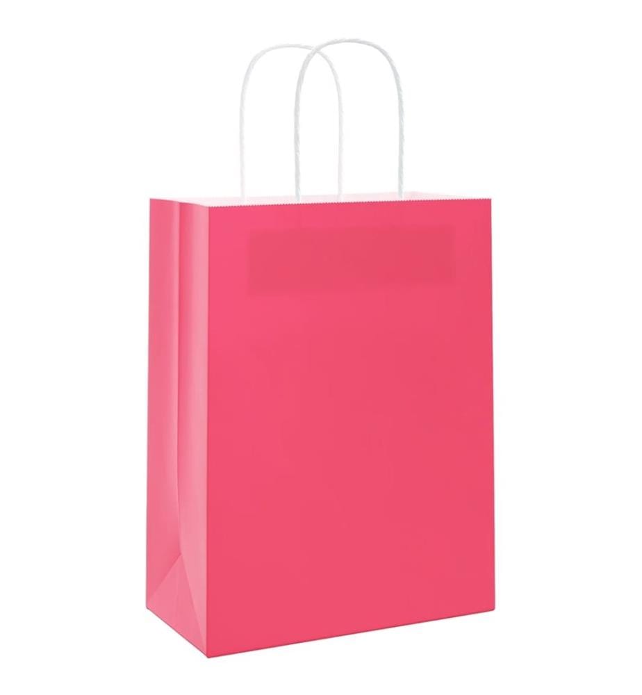 Papiertragetaschen 50 Stk. mit Henkeln Rosa 21x11x28 cm