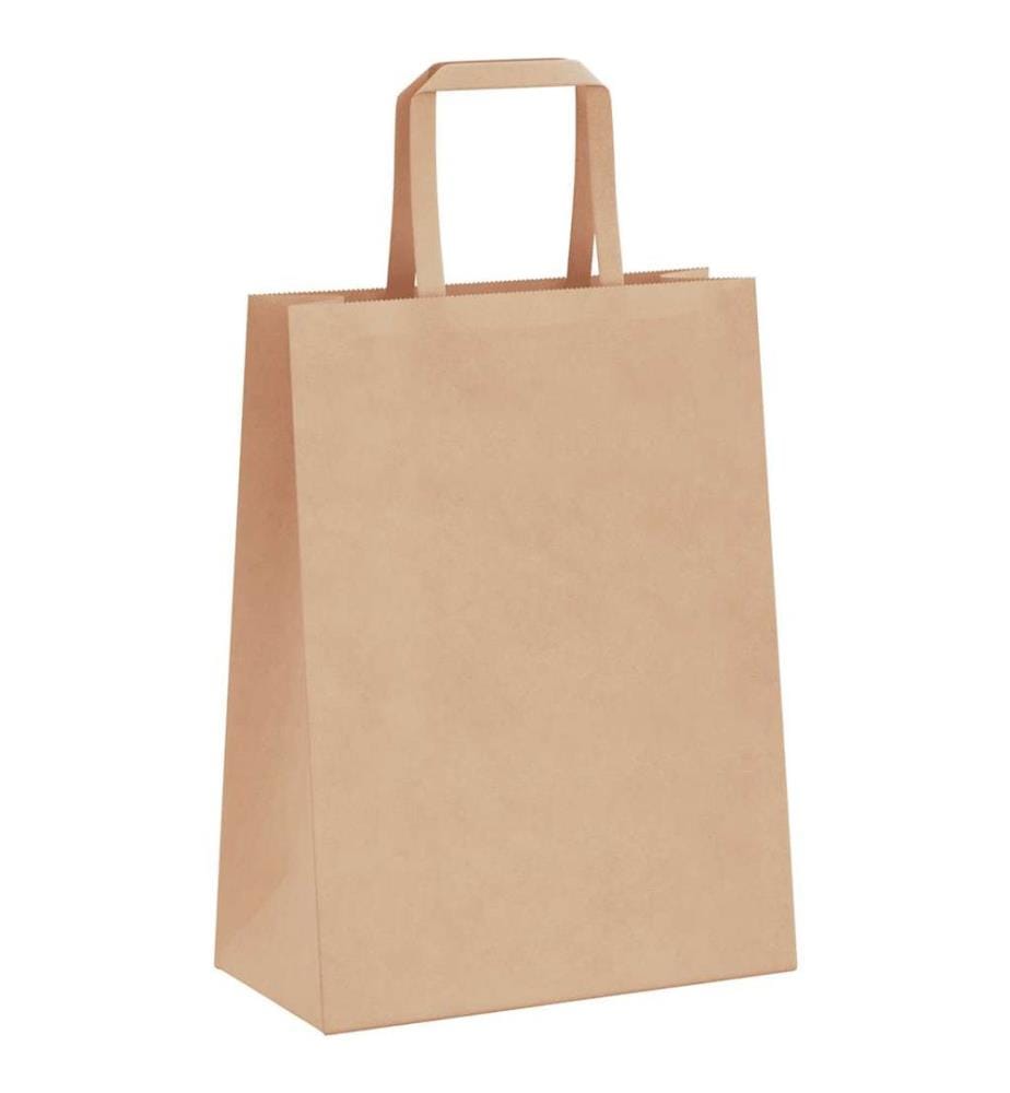 Sacs en papier 250 pcs avec poignées marron 21x11x28 cm