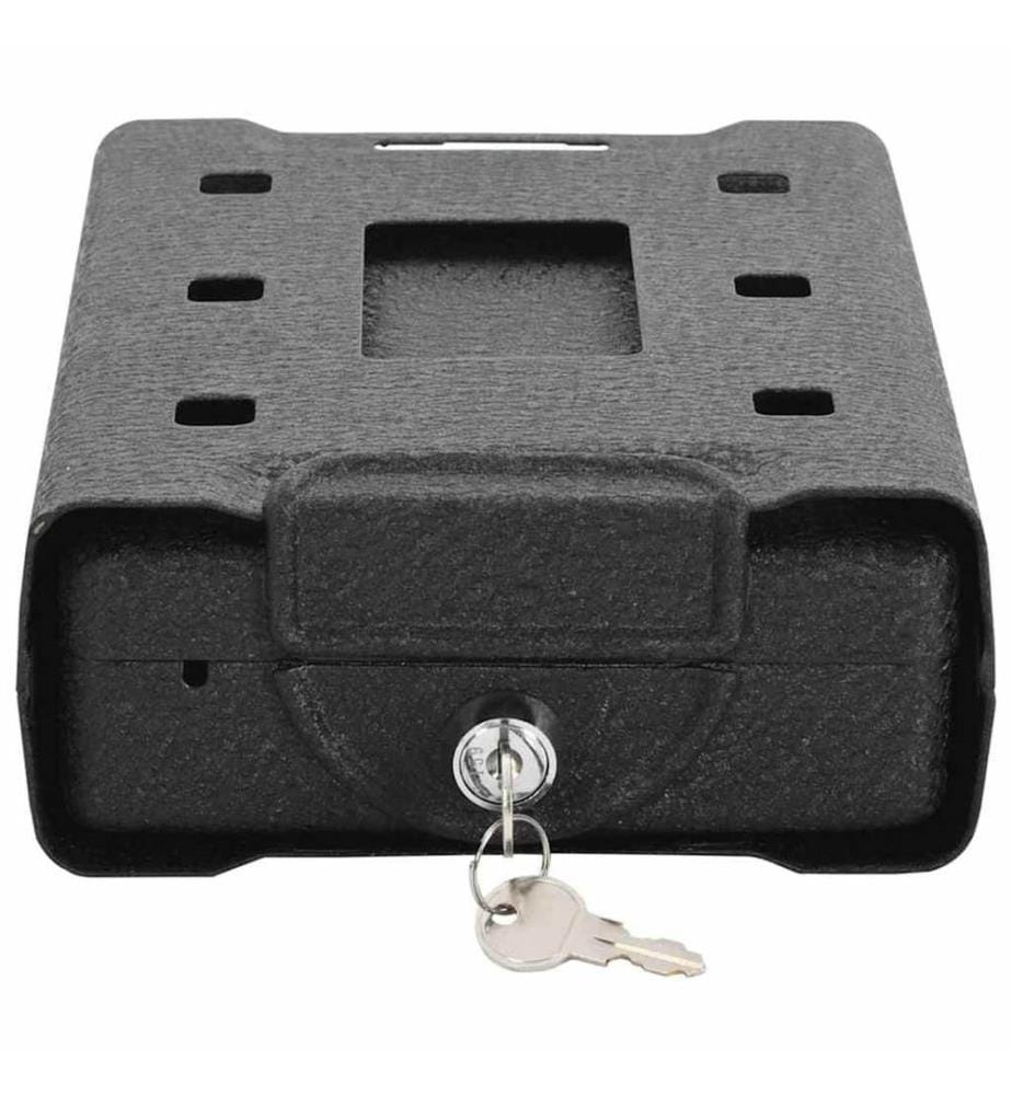 Coffre de voiture avec verrouillage Noir 22 x 16 x 7 cm Acier