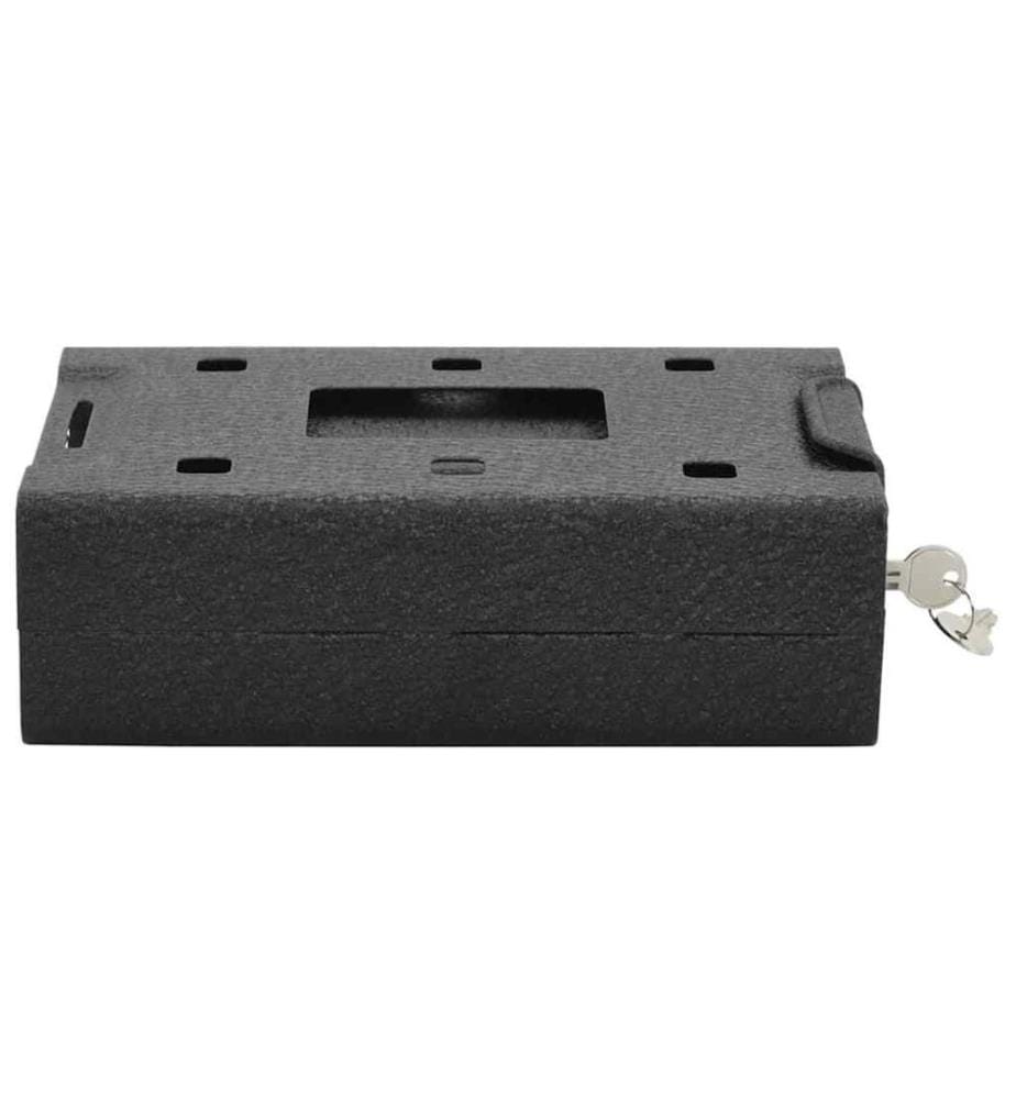 Coffre de voiture avec verrouillage Noir 22 x 16 x 7 cm Acier