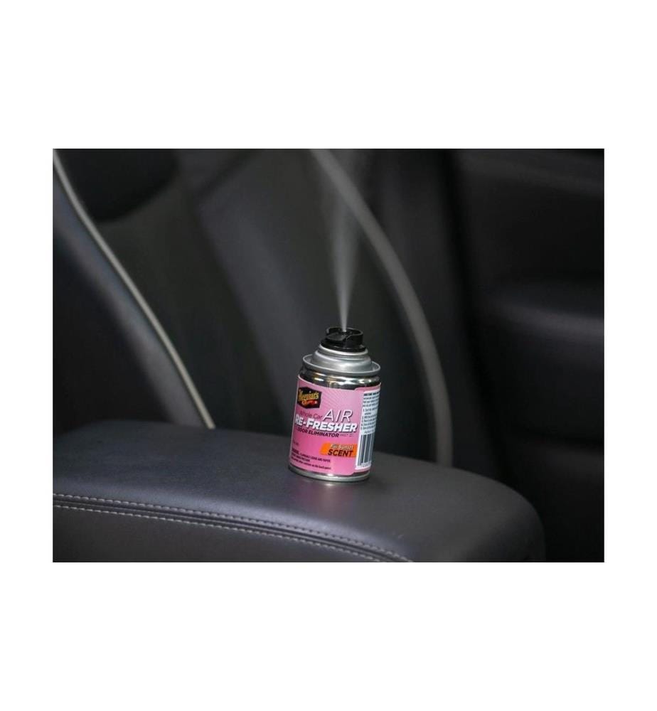 MEGUIAR'S - Auto-Geruchsentferner Air Re-Fresher Fiji Sunset 57 g