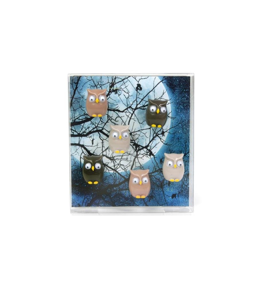 TRENDFORM - Haftmagnet Owl Mehrfarbig, 6 Stück