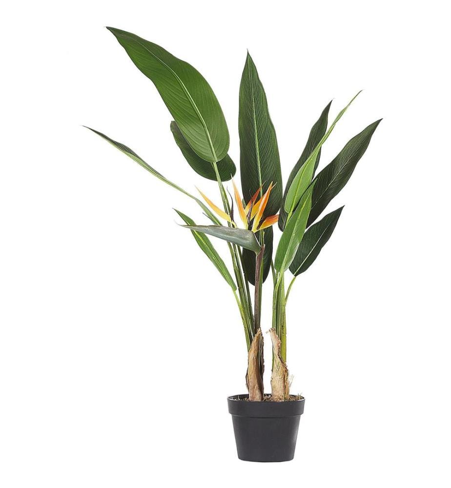 Pianta artificiale STRELITZIA TREE 115 cm Verde