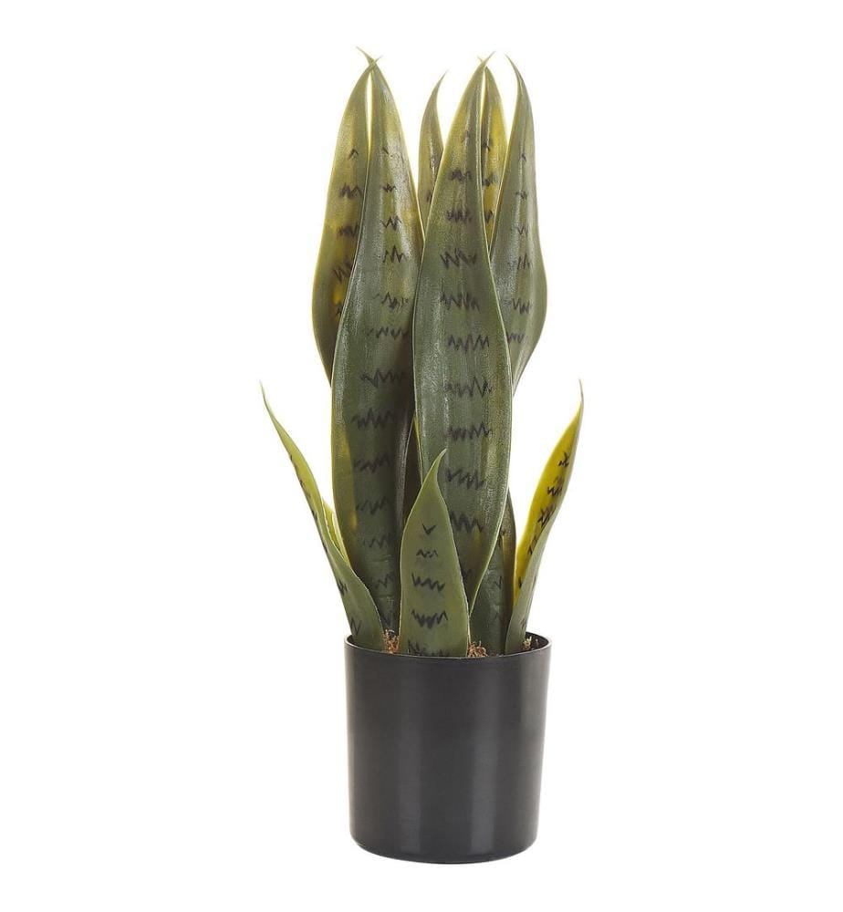 Plante artificielle SNAKE PLANT 40 cm Vert